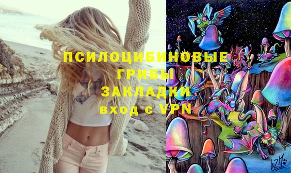 соль ск Богданович