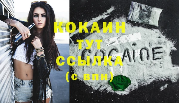 соль ск Богданович